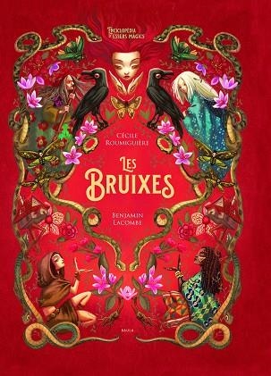 LES BRUIXES | 9788447948987 | ROUMIGUIÈRE, CÉCILE / LACOMBE, BENJAMINE | Llibreria infantil en català