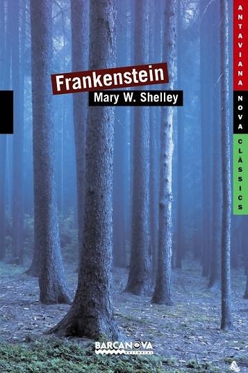 FRANKENSTEIN | 9788448930387 | SHELLEY, MARY | Llibreria infantil en català