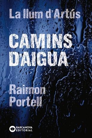 CAMINS D'AIGUA | 9788448942144 | PORTELL, RAIMON | Llibreria infantil en català