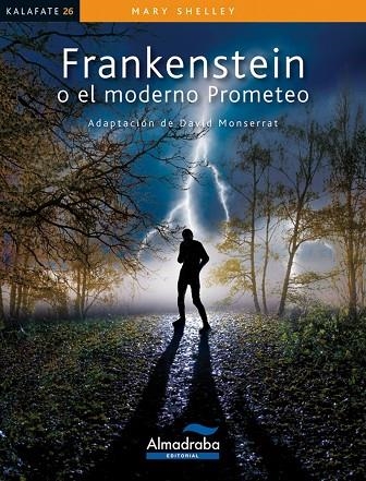 FRANKENSTEIN O EL MODERNO PROMETEO | 9788483088203 | SHELLEY, MARY | Llibreria infantil en català