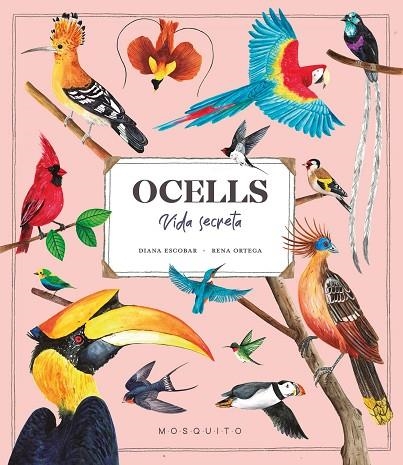 OCELLS | 9788419095534 | ESCOBAR, DIANA/ORTEGA, RENA | Llibreria infantil en català