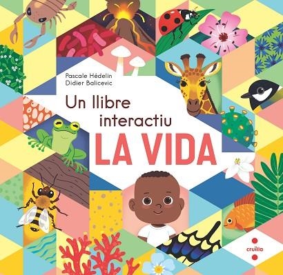 LA VIDA UN LLIBRE INTERACTIU | 9788466154864 | HÉDELIN, PASCALE/BALICEVIC, DIDIER | Llibreria infantil en català