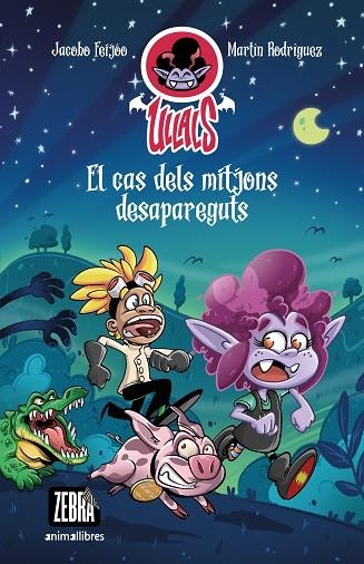 EL CAS DELS MITJONS DESAPAREGUTS | 9788419659101 | FEIJÓO, JACOBO | Llibreria infantil en català