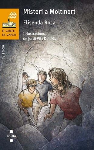 MISTERI A MOLTMORT | 9788466142007 | ROCA, ELISENDA | Llibreria infantil en català