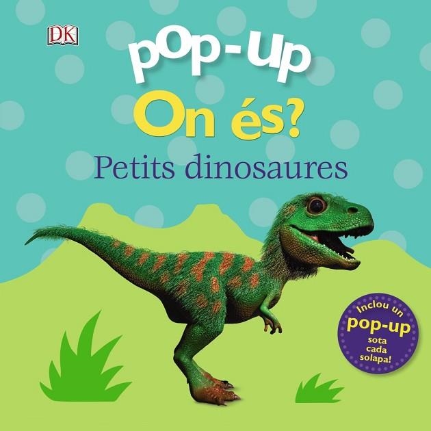 ON ÉS ? ELS DINOSAURES ( POP-UP ) | 9788499063270 | LLOYD, CLARE | Llibreria infantil en català