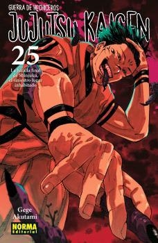 JUJUTSU KAISEN 25 | 9788467971743 | AKUTAMI, GEGE | Llibreria infantil en català