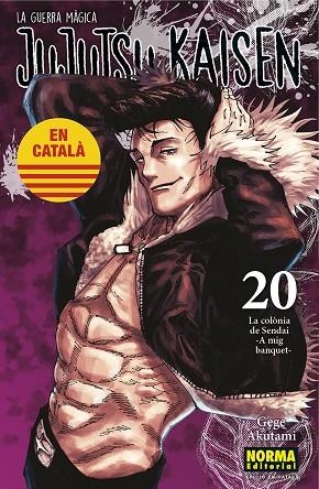 JUJUTSU KAISEN 20 ( CATALÀ ) | 9788467969924 | AKUTAMI, GEGE | Llibreria infantil en català