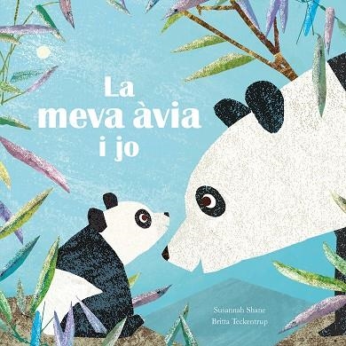 LA MEVA ÀVIA I JO | 9788419974013 | SHANE, SUSANNAH/TECKENTRUP, BRITTA | Llibreria infantil en català