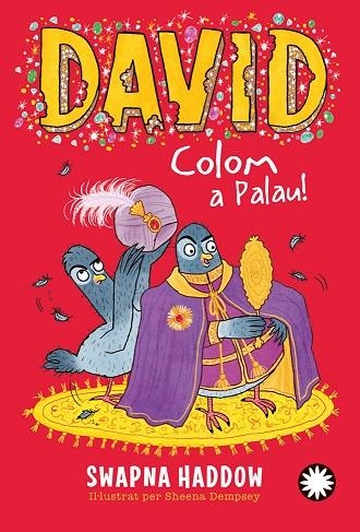 DAVID COLOM A PALAU ! | 9788410090262 | HADDOW, SWAPNA | Llibreria infantil en català