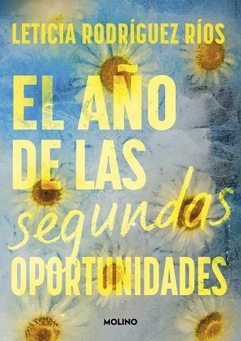 EL AÑO DE LAS SEGUNDAS OPORTUNIDADES | 9788427242807 | RODRÍGUEZ RÍOS, LETICIA | Llibreria infantil en català