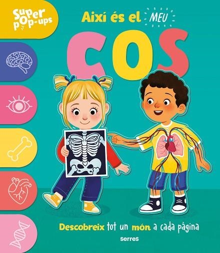 SUPER POP-UPS AIXÍ ÉS EL MEU COS | 9788427243989 | ARD, CATHERINE | Llibreria infantil en català