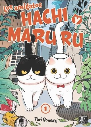 LOS AMIGATOS HACHI Y MARURU 1 | 9788410450035 | SONODA, YURI | Llibreria infantil en català